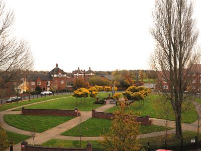 Picture 11